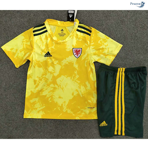 Peamu - Maillot foot Pays de Galles Enfant Exterieur 2020-2021