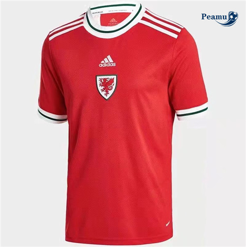 Peamu - Maillot foot Pays de Galles Domicile 2022-2023
