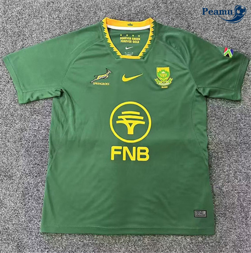 Maillot foot Afrique du Sud Domicile 2025-2026