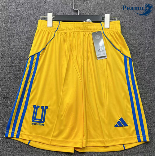 Maillot foot Shorts Tigers Domicile 2025-2026