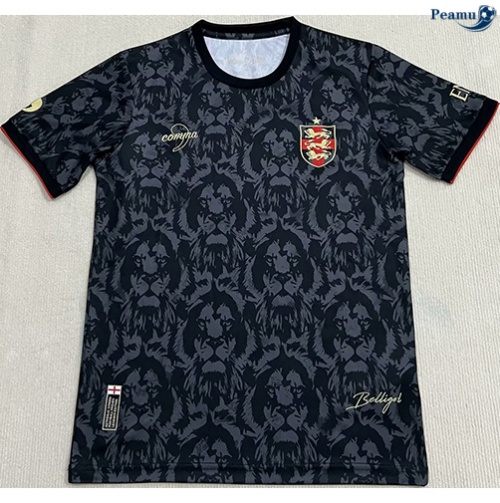 Angleterre Maillot Édition spéciale 2024