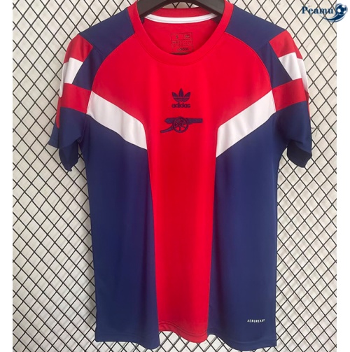 Arsenal Maillot T-shirt Édition spéciale 2024