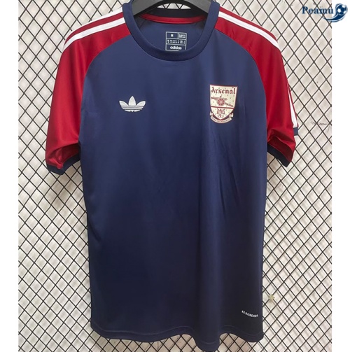 Arsenal Maillot T-shirt Édition spéciale Royal Bleu 2024