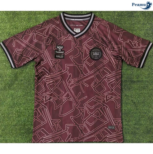 Danemark Maillot Édition spéciale 2024