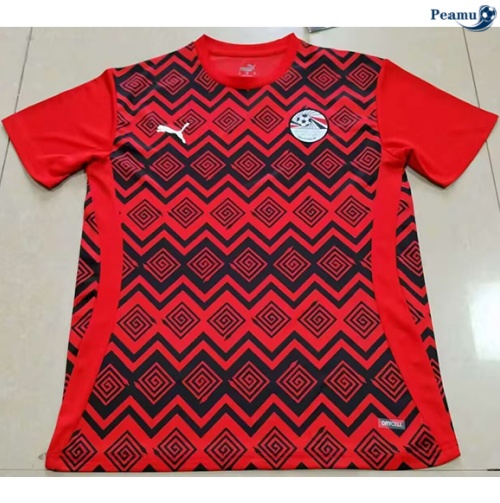 Egypte Maillot Training 2024