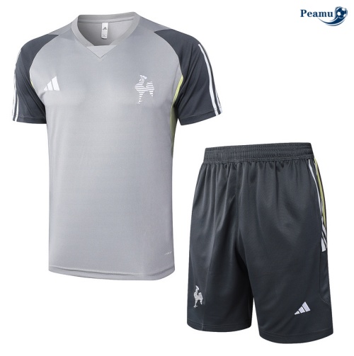 Kit Entrainement Atletico Mineiro + Shorts gris clair 2024