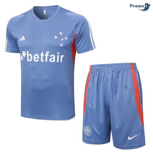 Kit Entrainement Cruzeiro + Shorts Gris 2024