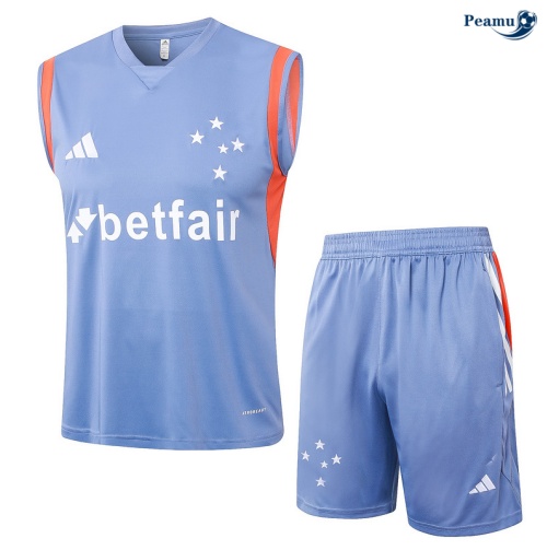 Kit Entrainement Cruzeiro Debardeur + Shorts Gris 2024
