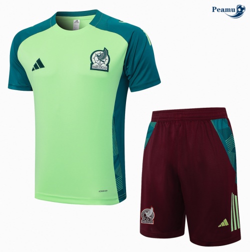 Kit Entrainement Mexique + Shorts vert 2024