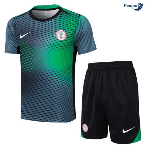 Kit Entrainement Nigeria + Shorts Gris 2024