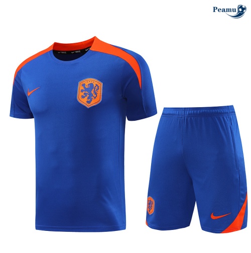 Kit Entrainement Pays-Bas + Shorts Bleu 2024