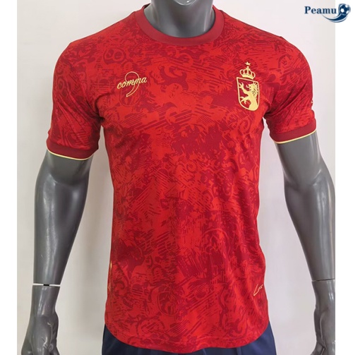 Espagne Maillot Édition spéciale 2024