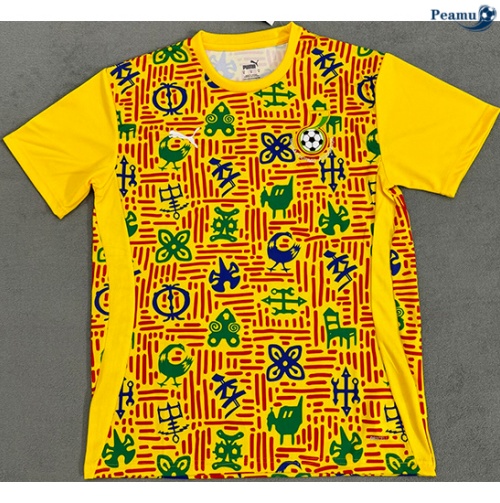Ghana Maillot Training Jaune 2024