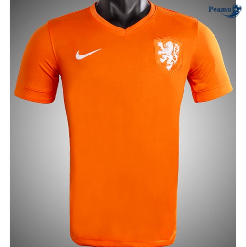 Rétro Pays-Bas Domicile 2014