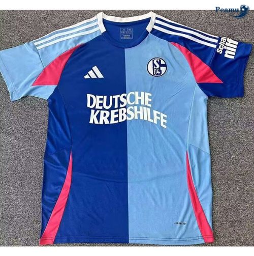 Schalke 04 Édition spéciale Bleu 2024