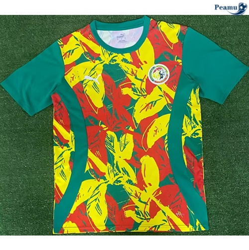 Sénégal Maillot Training 2024