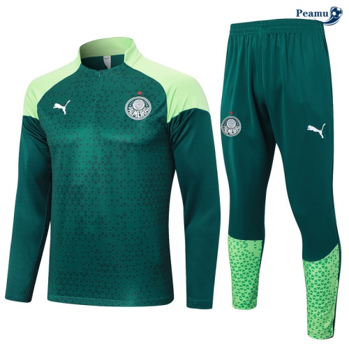 Survetement Palmeiras vert 2024