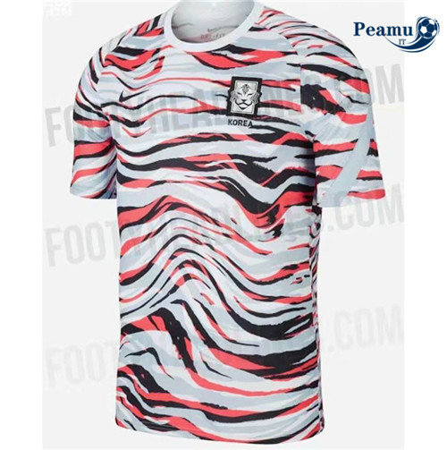 Maillot foot Corée Entraînement 2020-2021