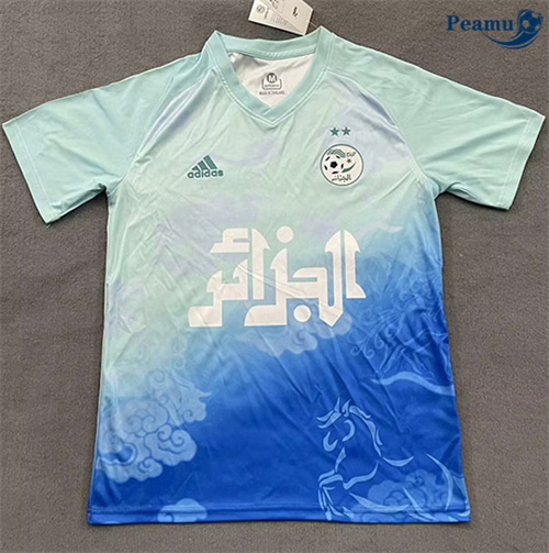 Maillot foot Algérie Training Bleu/Vert 2025-2026