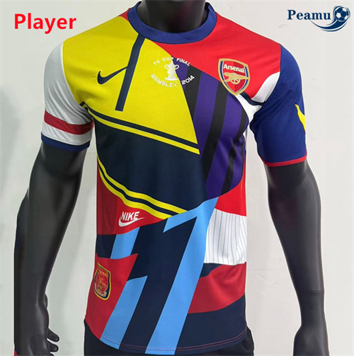 Maillot foot Arsenal Player commémorer 2013