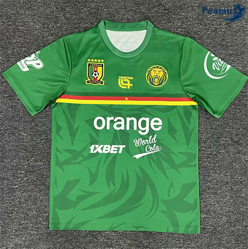 Maillot foot Cameroun Training Vert 2025-2026