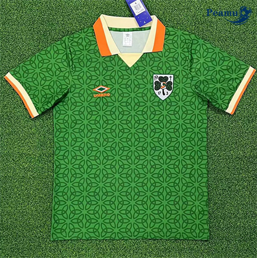 Maillot foot Irlande commemorative 2025-2026