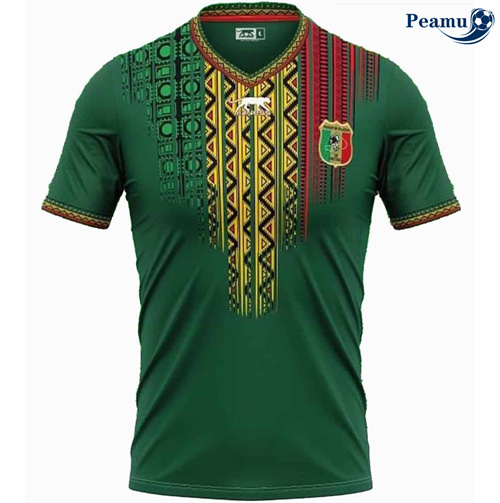 Maillot foot Mali Exterieur 2025-2026