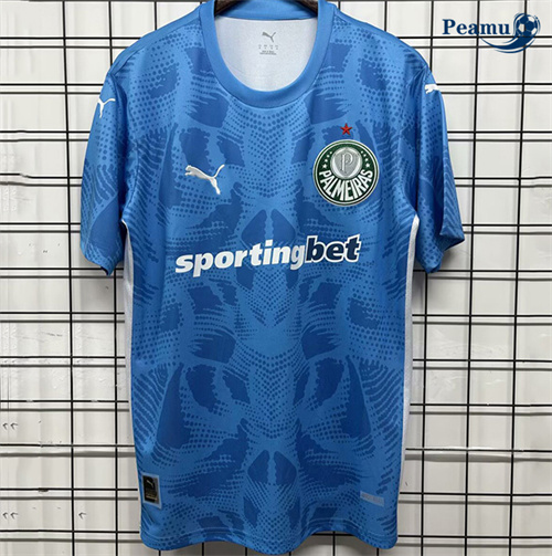 Maillot foot Palmeiras Training Bleu 2025-2026
