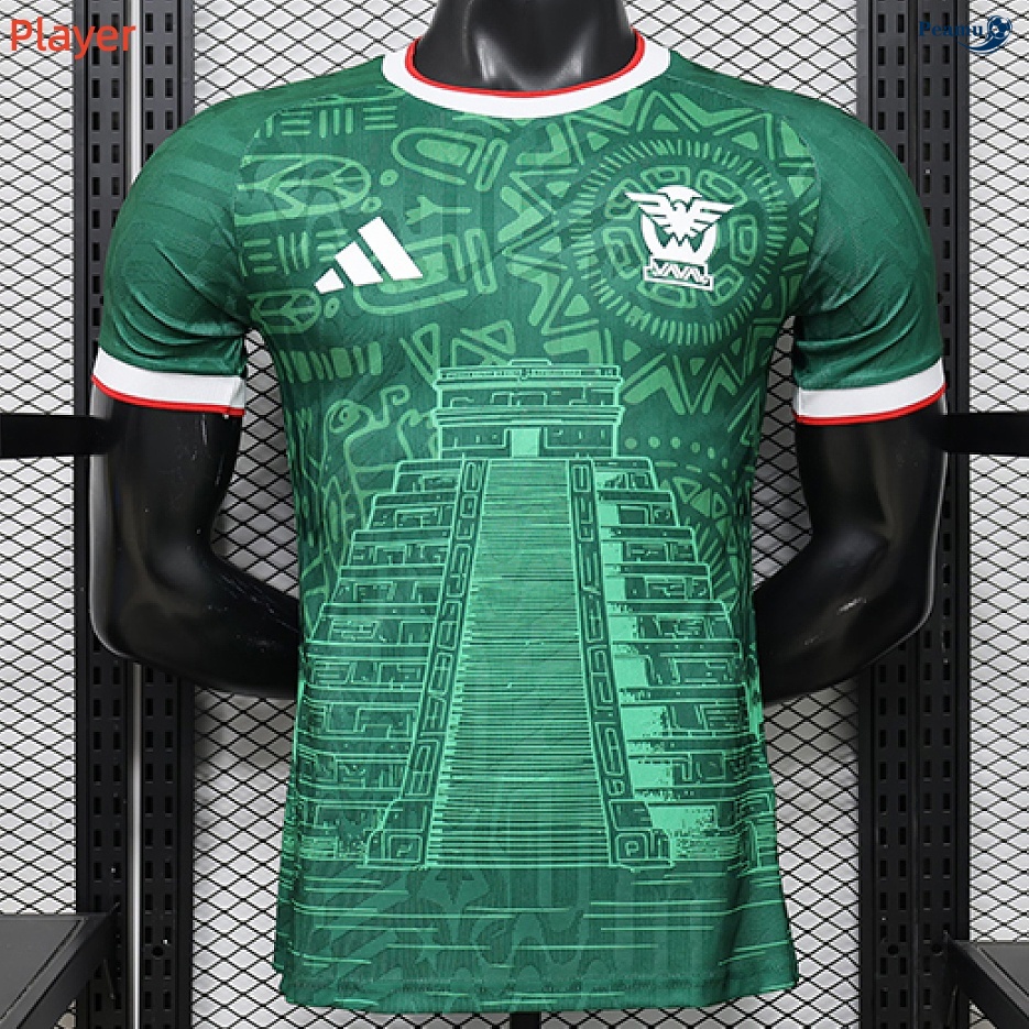 Maillot foot Mexique Player spéciale Vert 2026