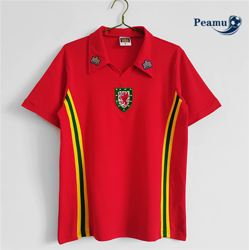 Peamu - Maillot foot Retro Wales Domicile 1970
