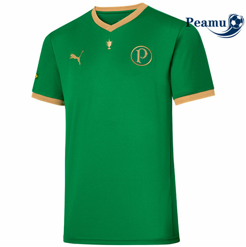 Maillot foot Palmeiras Special 2021-2022