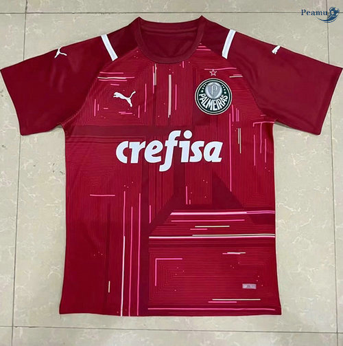 Peamu - Maillot foot Palmeiras Rouge gardien de but 2021-2022