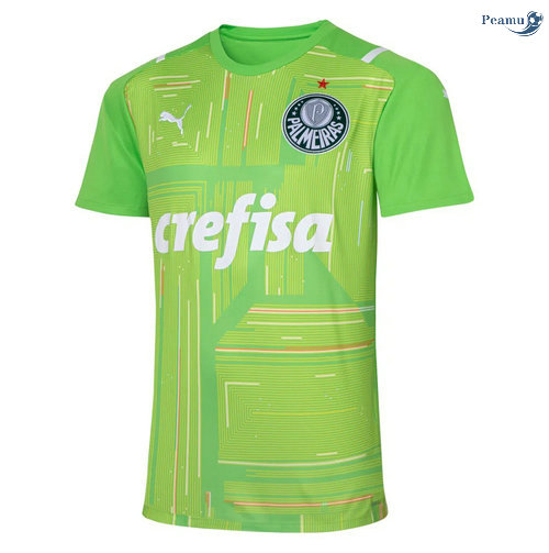 Peamu - Maillot foot Palmeiras Vert Gardien de but 2021-2022