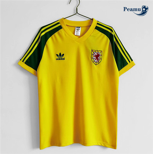 Maillot foot Retro Wales Domicile 1982