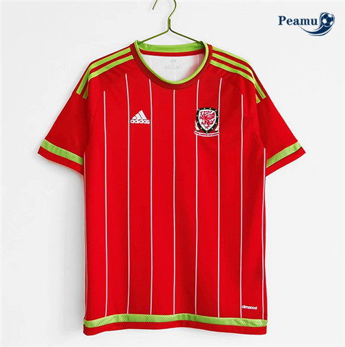 Maillot foot Retro Wales Domicile 2015