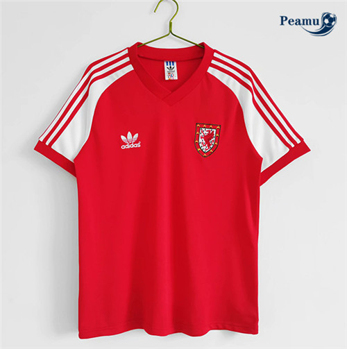 Maillot foot Retro Wales Domicile 1982