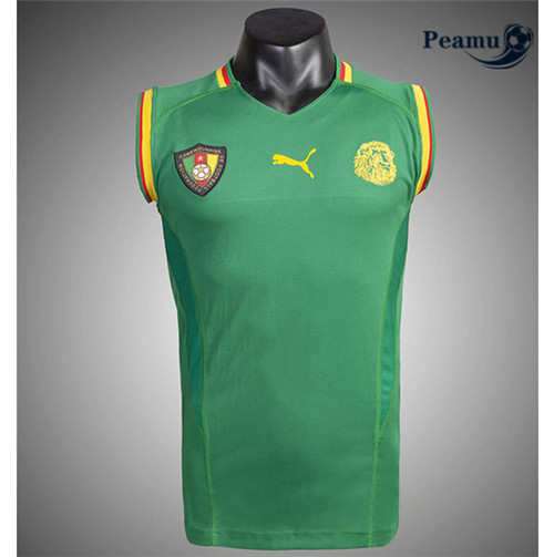 Maillot foot Cameroun vest 2021-2022