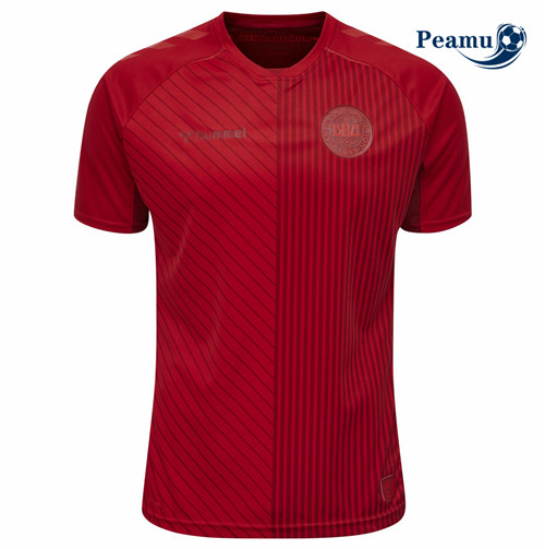 Maillot foot Danemark Third 2021-2022
