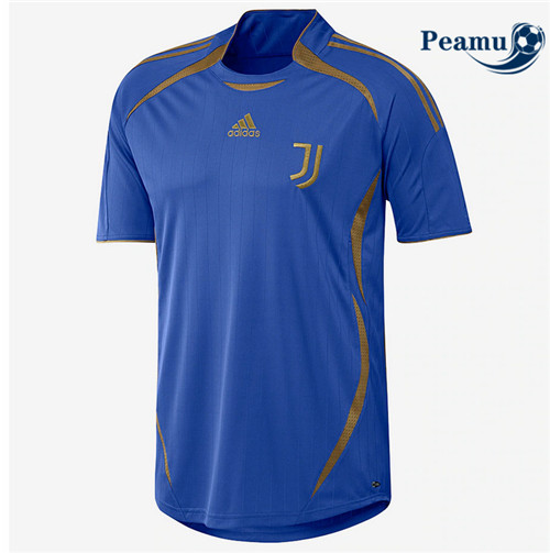 Peamu - Maillot foot Juventus Teamgiest Bleu 2021-2022
