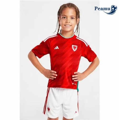 Maillot Foot Pays de Galles Enfant Domicile 2022-2023 peamu 038
