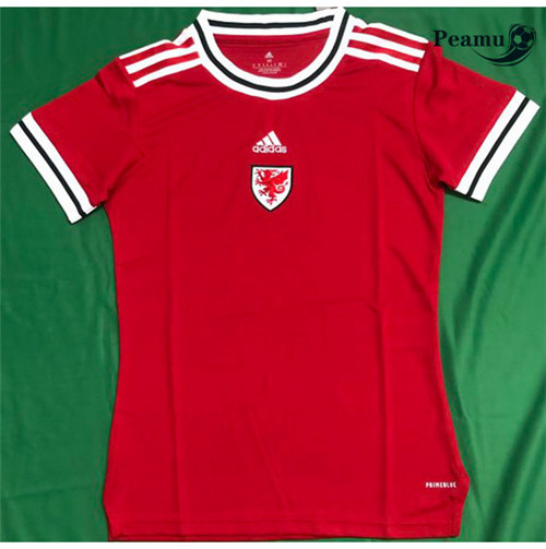 Maillot Foot Pays de Galles Femme Domicile 2022-2023 peamu 157