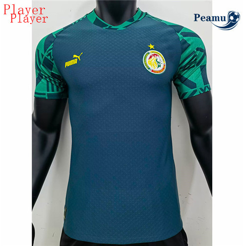 Maillot Foot Senegal Player Version pre-match Training 2022-2023 peamu 132