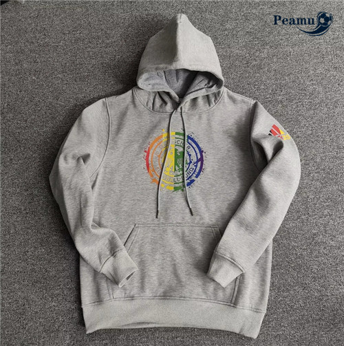 Maillot Foot Sweatshirt à capuche Allemagne Gris 2022-2023 peamu 622