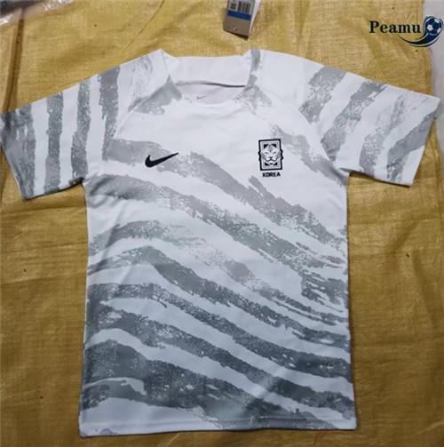 peamu.fr - Maillot foot Corée fans 2022-2023 F203