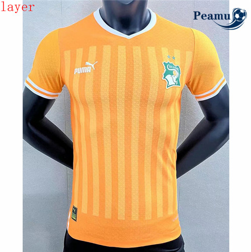 peamu.fr - Maillot foot Côte d'Ivoire Player Version Domicile 2022-2023 F205