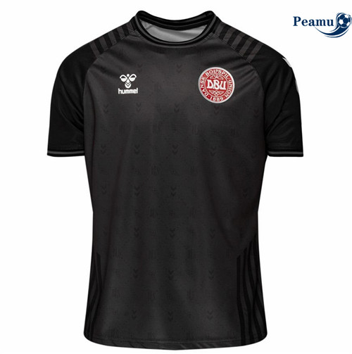 peamu.fr - Maillot foot Danemark Gardien De But Édition spéciale 2022-2023 F206