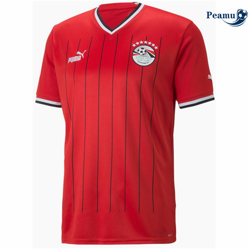 peamu.fr - Maillot foot Egypte Domicile 2022-2023 F207