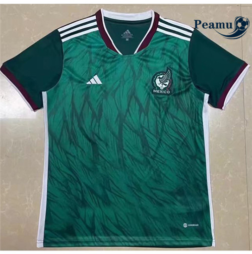 peamu.fr - Maillot foot Mexique Domicile 2022-2023 F224