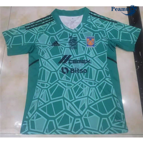 Peamu - Maillot foot p296 Tigres Maillot Gardien de but 2022-2023