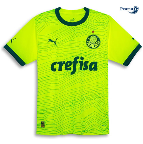 Peamu: Maillot foot Palmeiras Third Vert 2023/24